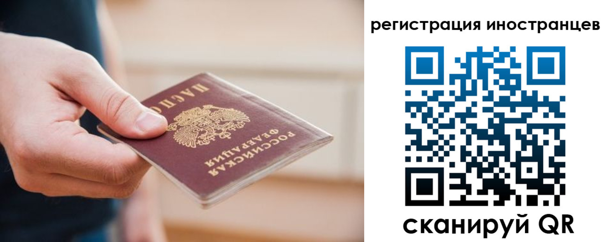 прописка гарантия в Льгове